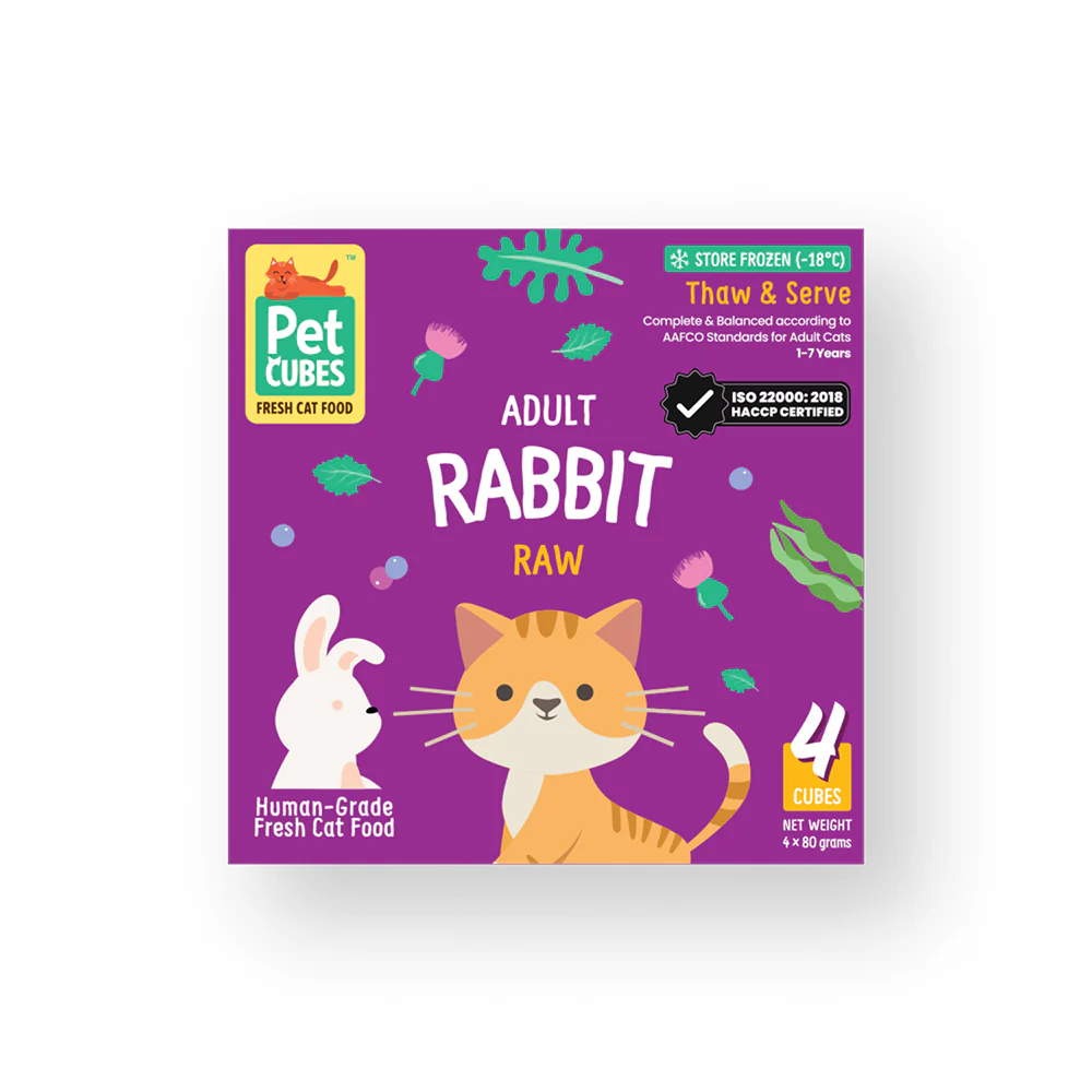 New Arrivals - Cat Products & Supplies