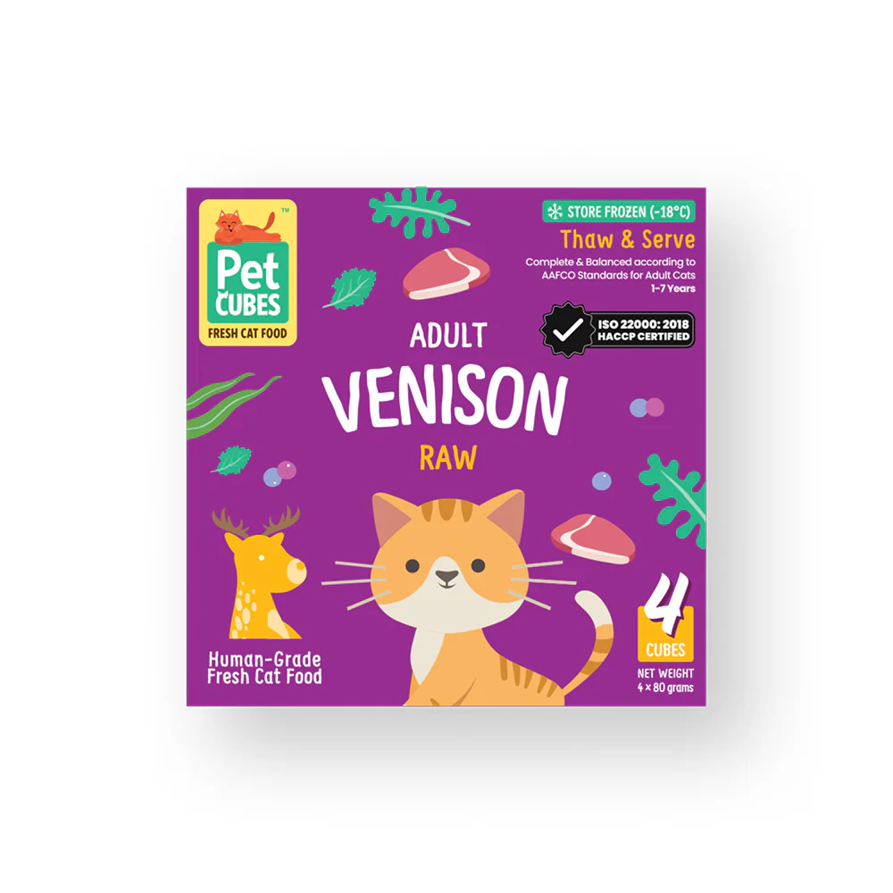 New Arrivals - Dog & Cat Products & Supplies